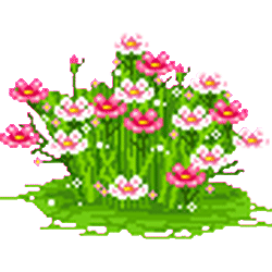 flower patch (NastyInExperie...)